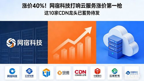 网宿科技打响云服务涨价第一枪 行业洗牌在即，软件开发成本承压